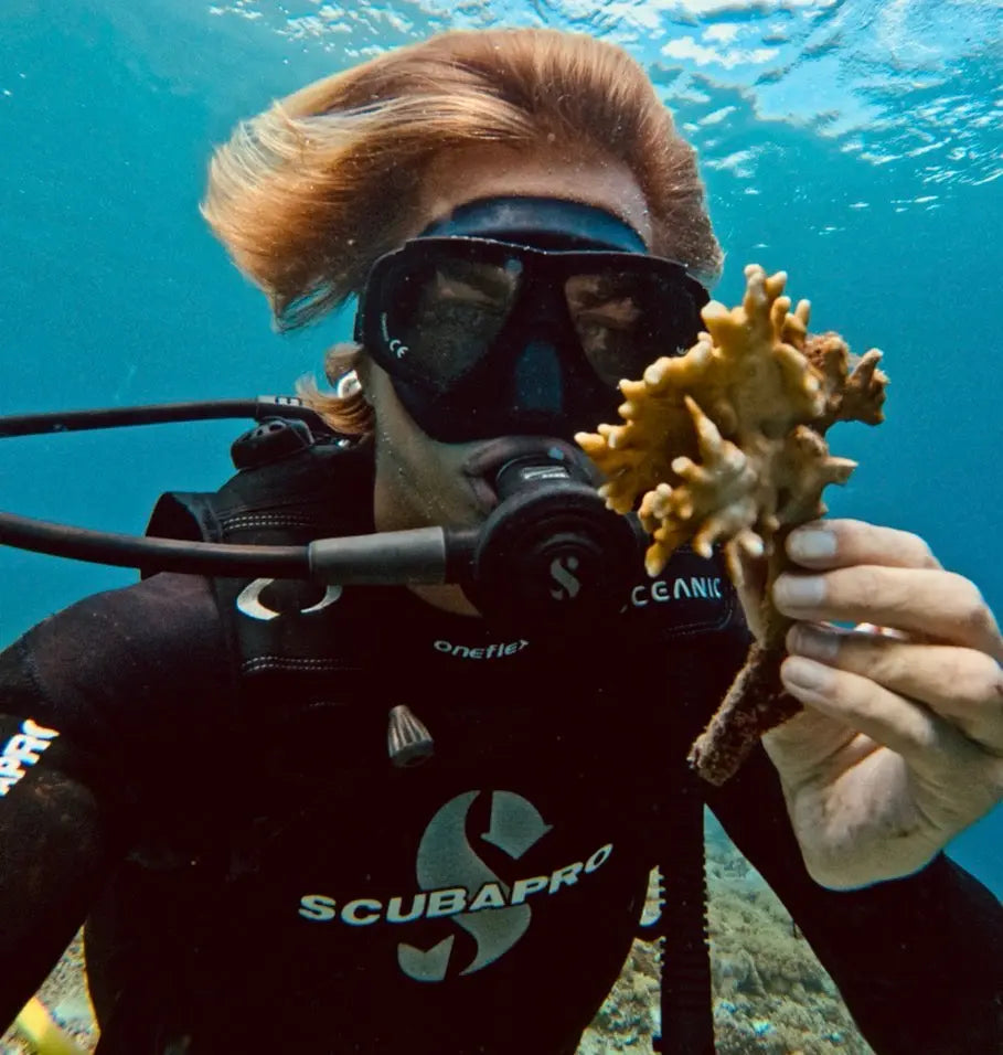 Coral-Restoration Royale Merchant