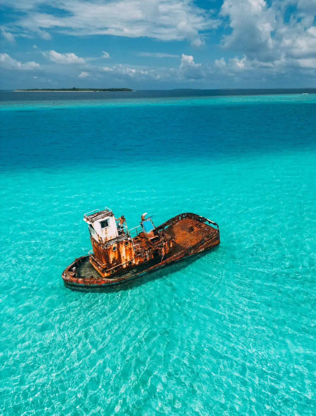 Illume-Void Royale Merchant