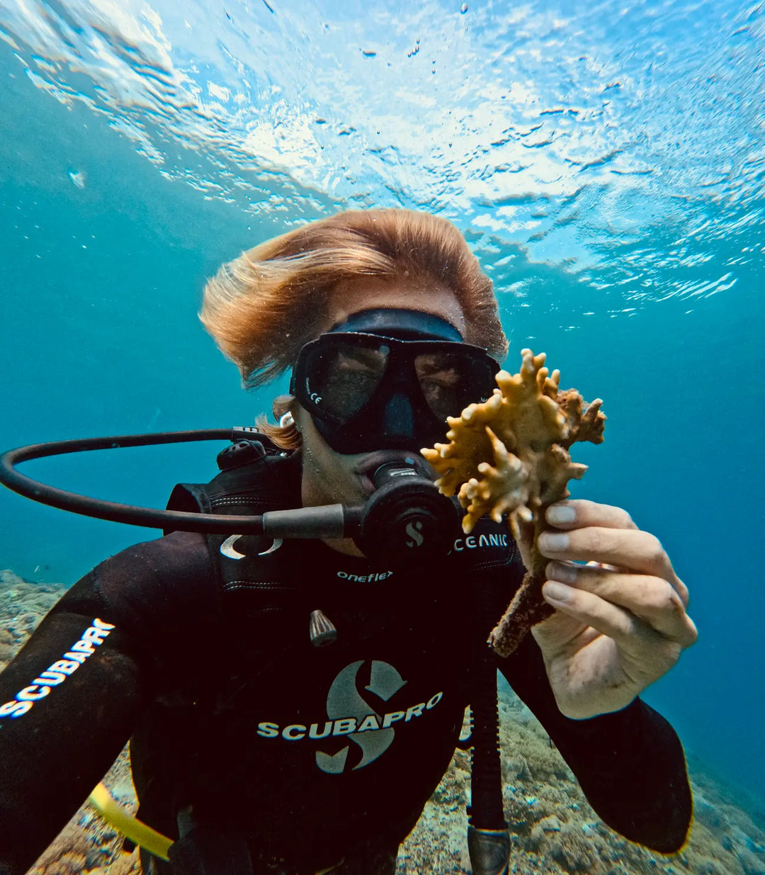 Classic Radiance Royale Merchant