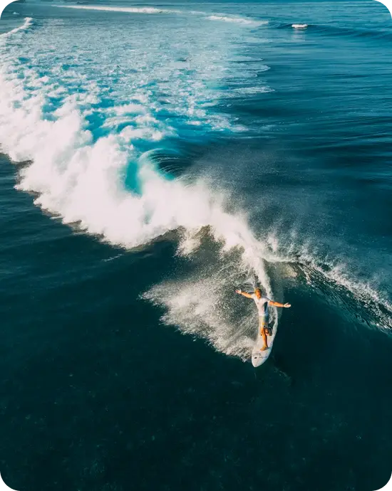 Cerulean-Echoes Royale Merchant