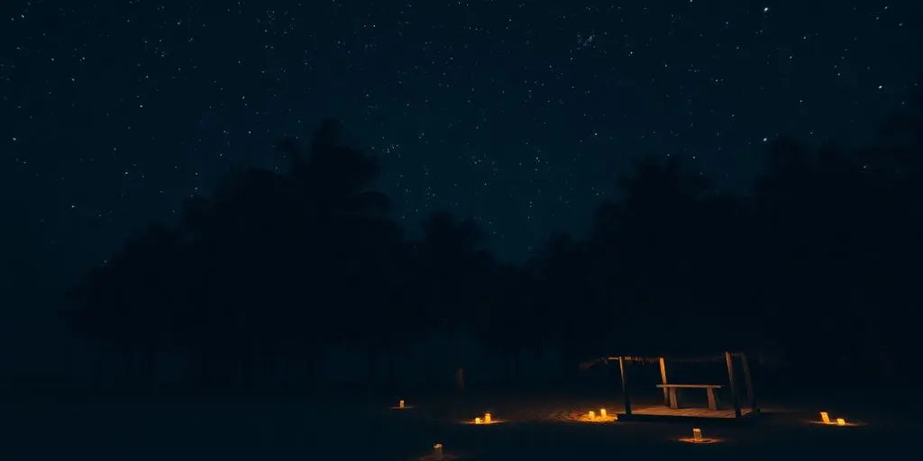 Dark beach scene with palm trees and stars at night.