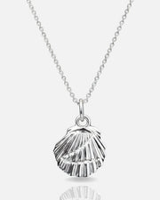 Z Shell Chain