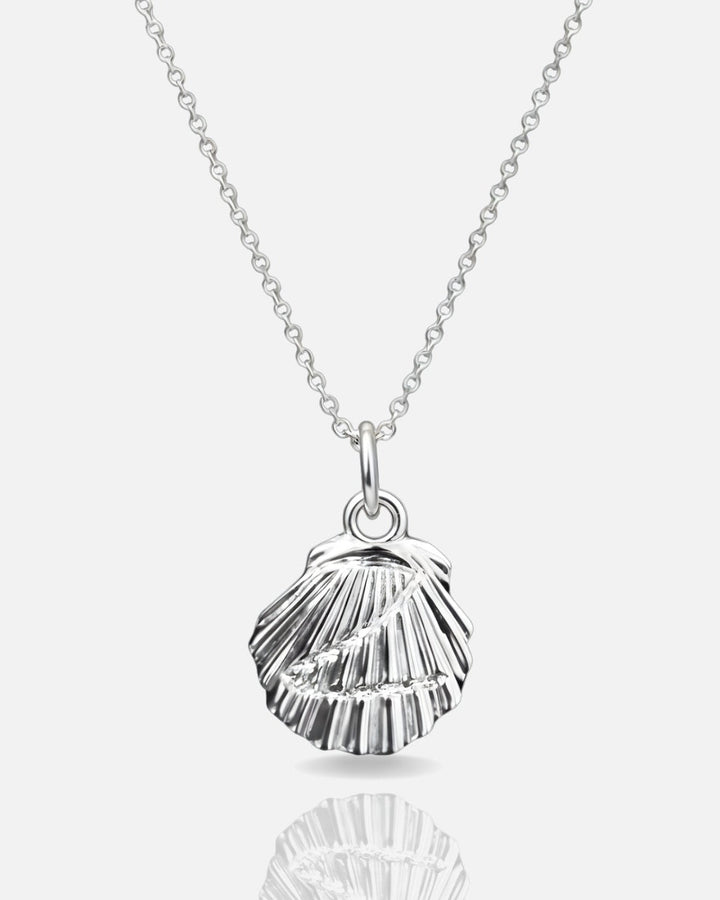 Z Shell Chain