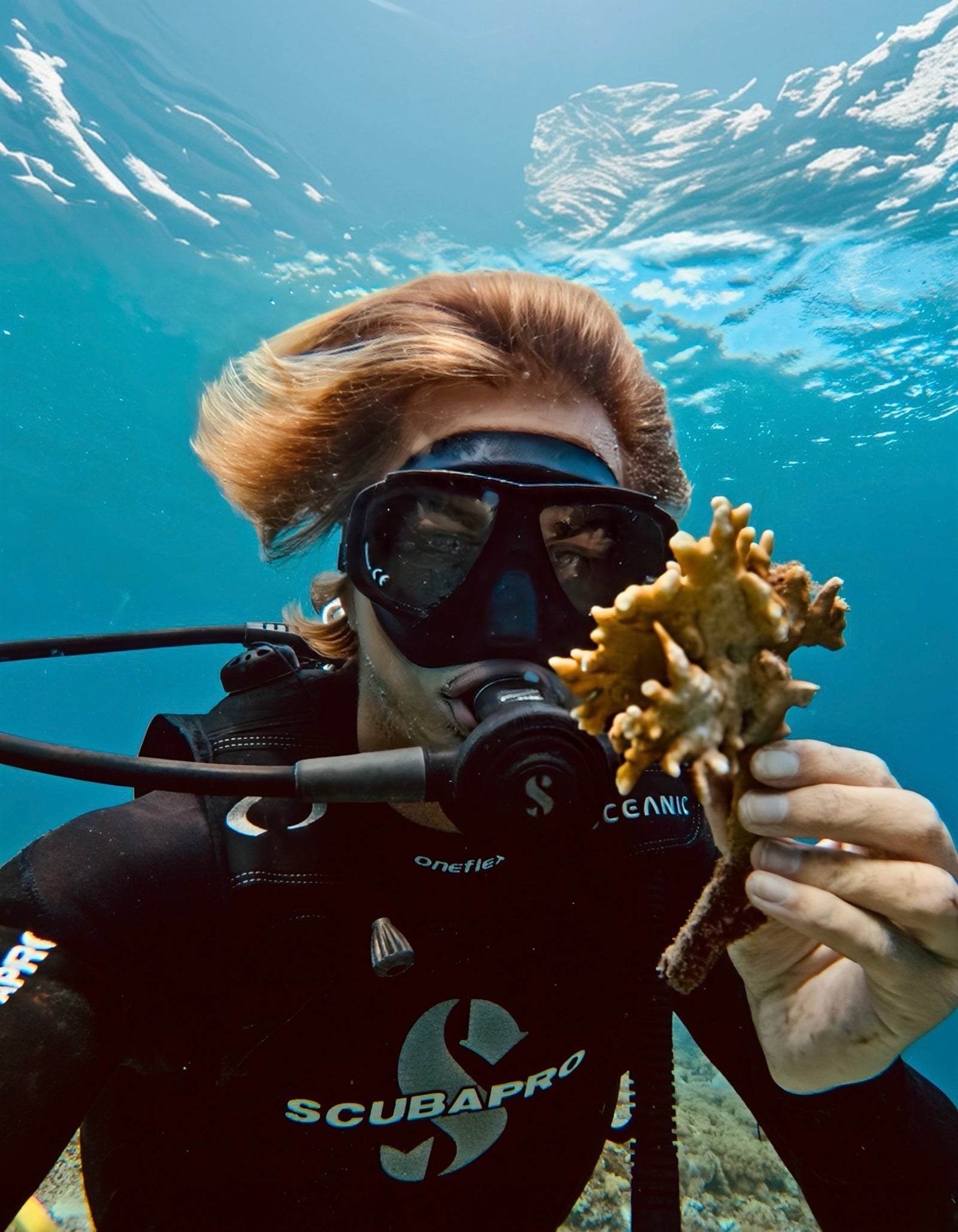 Diver holding coral