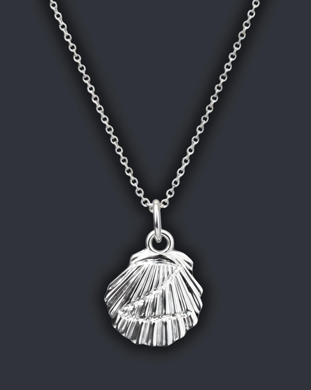 Z Shell Chain