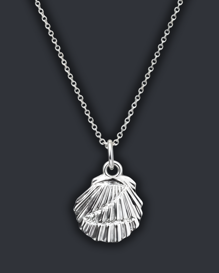 Z Shell Chain