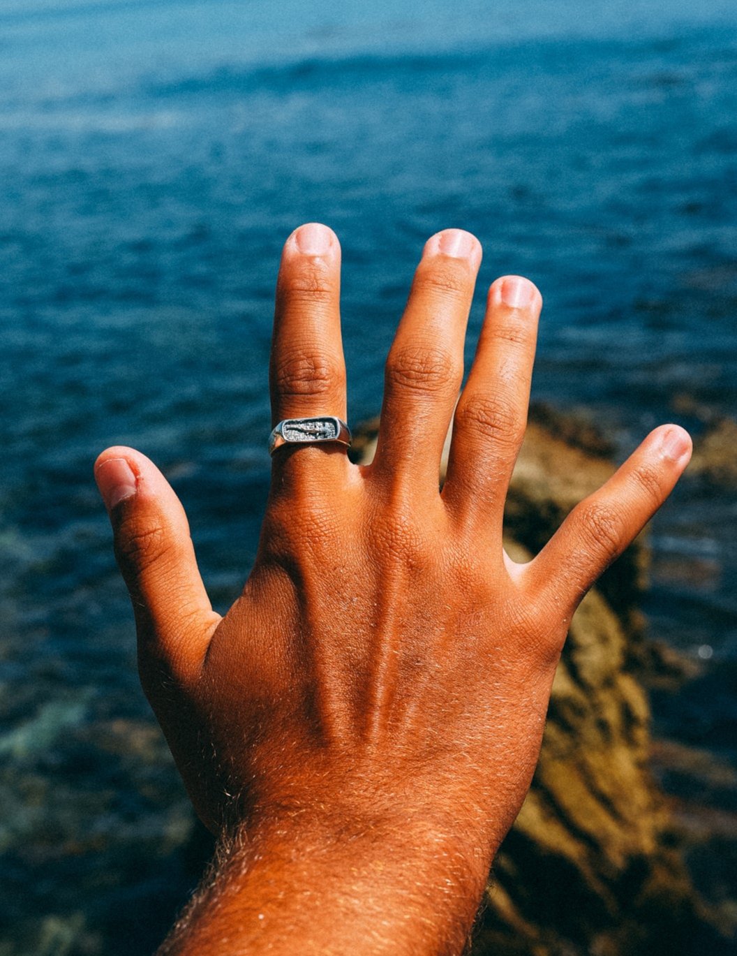 Shark Ring