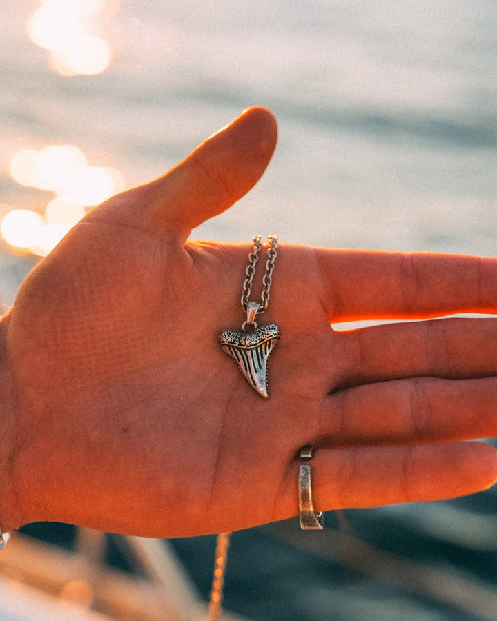 Shark Tooth Chain