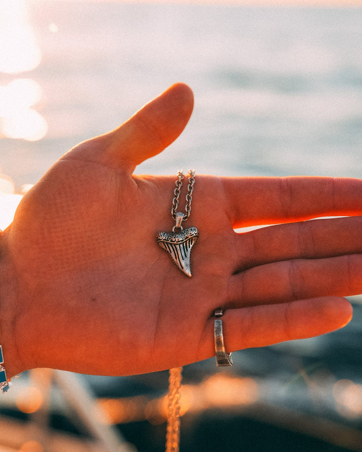 Shark Tooth Chain