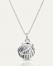Z Shell Chain