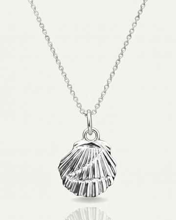 Z Shell Chain