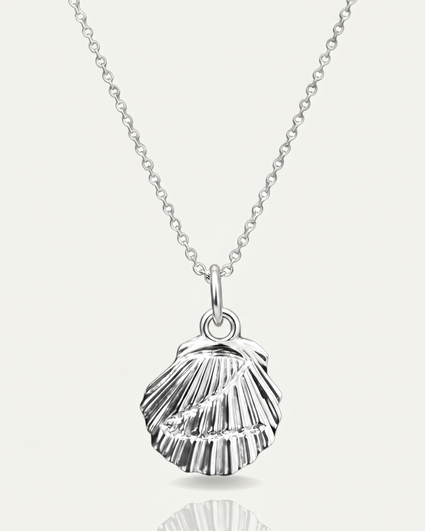 Z Shell Chain