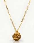 Women's Z Shell (Gold)
